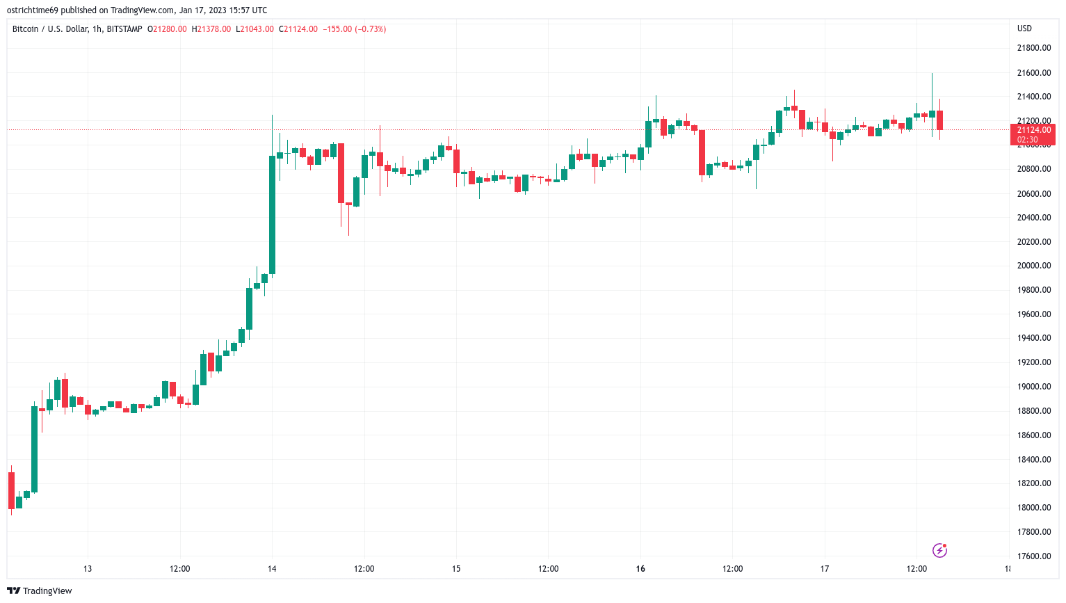 'To the moon' or 'total crash'? Bitcoin price hits new 4-month highs 'To the moon' or 'total crash'? Bitcoin price hits new 4-month highs