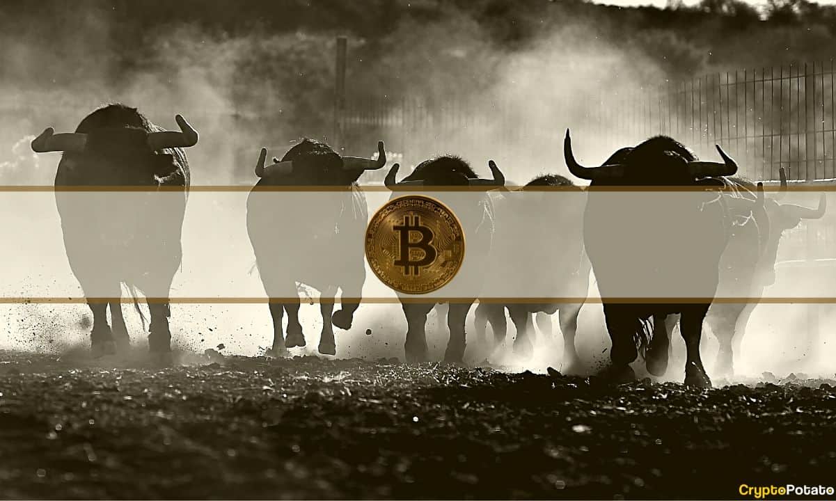 Bitcoin Price Holds Steady at $21K: 4 New Bullish Indicators image