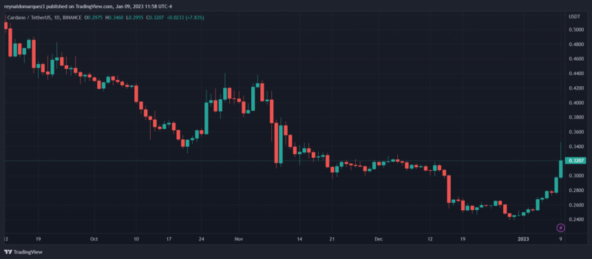 Cardano Follows Bullish Sentiment, Why ADA Could Become Top 3 Coin Cardano ADA ADAUSDT