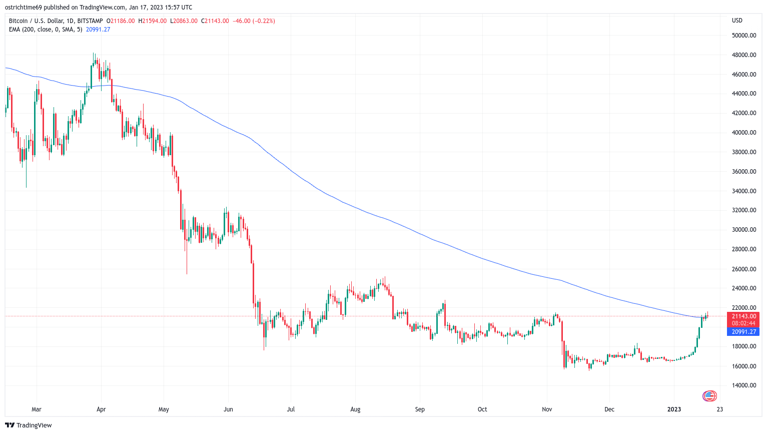 'To the moon' or 'total crash'? Bitcoin price hits new 4-month highs 'To the moon' or 'total crash'? Bitcoin price hits new 4-month highs