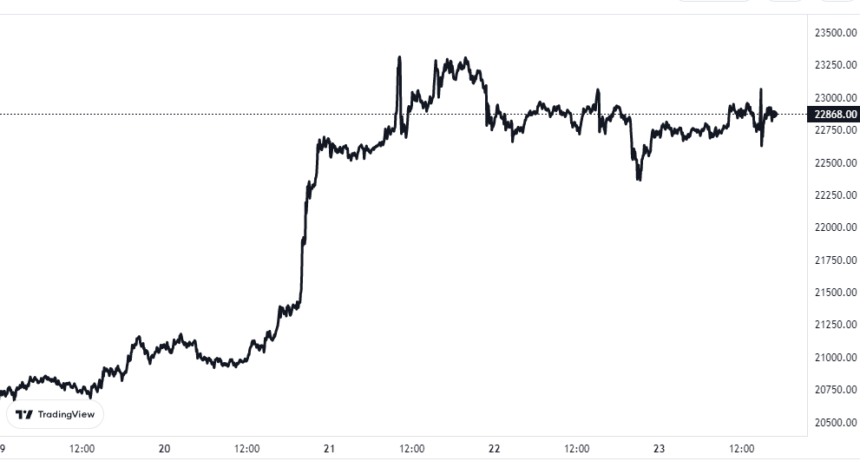 Bitcoin Puell Multiple Starts To Leave Bear Market Zone, Bull Rally Here? Bitcoin Price Chart