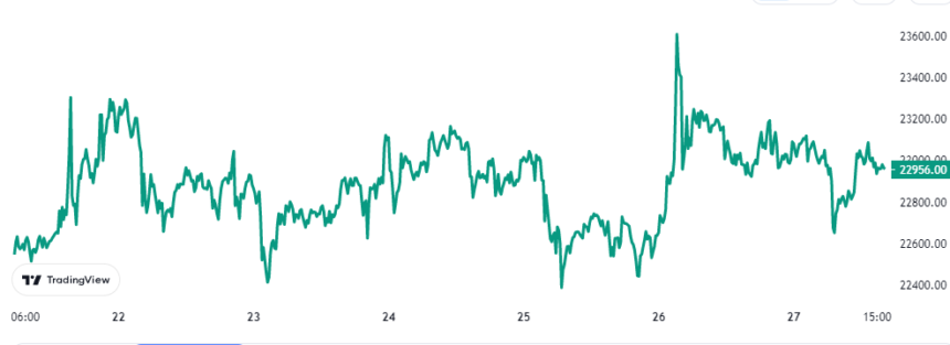 Bitcoin Investors Turn Greedy For First Time Since March 2022 Bitcoin Price Chart