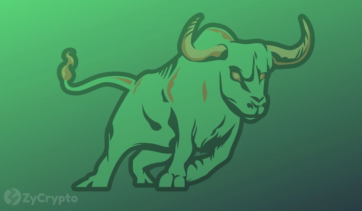 Bitcoin Looks To Retake $20,000 As Ether, XRP, Cardano Traders Bank On A Massive Bull Run image