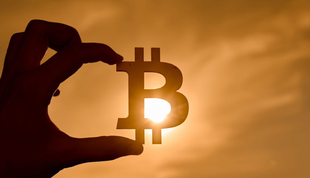 Youtuber mostra quantos painéis solares são necessários para minerar Bitcoin image