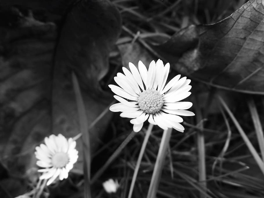 than expected. detail photograph