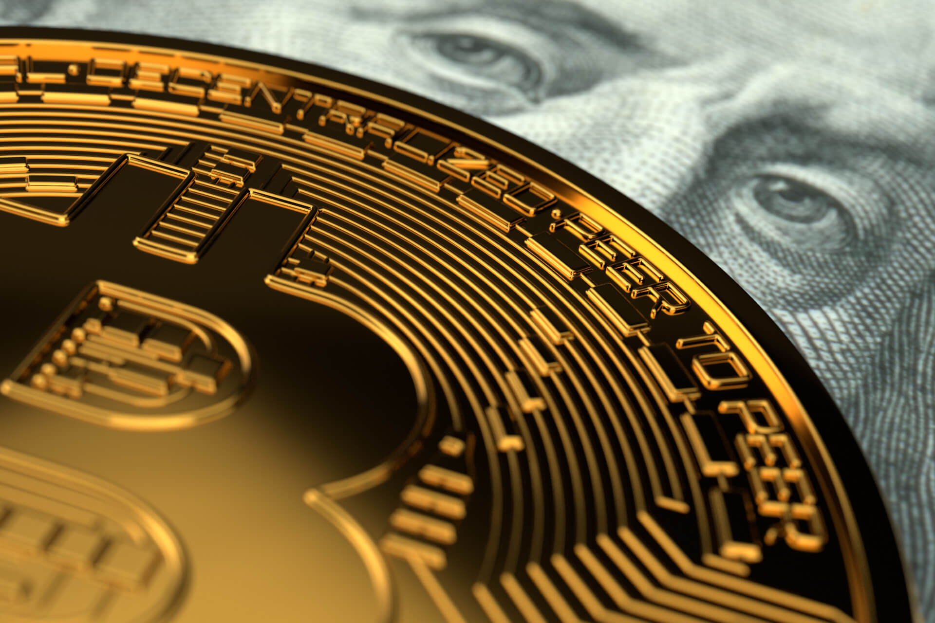 Hang Tight: Enduring the Crypto Trek. 1. Understanding the Bitcoin Phenomenon