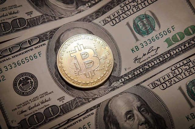 Bitcoin Maximalism: Financial Future or Fantasy?” 2. Is Bitcoin the Future of Money?