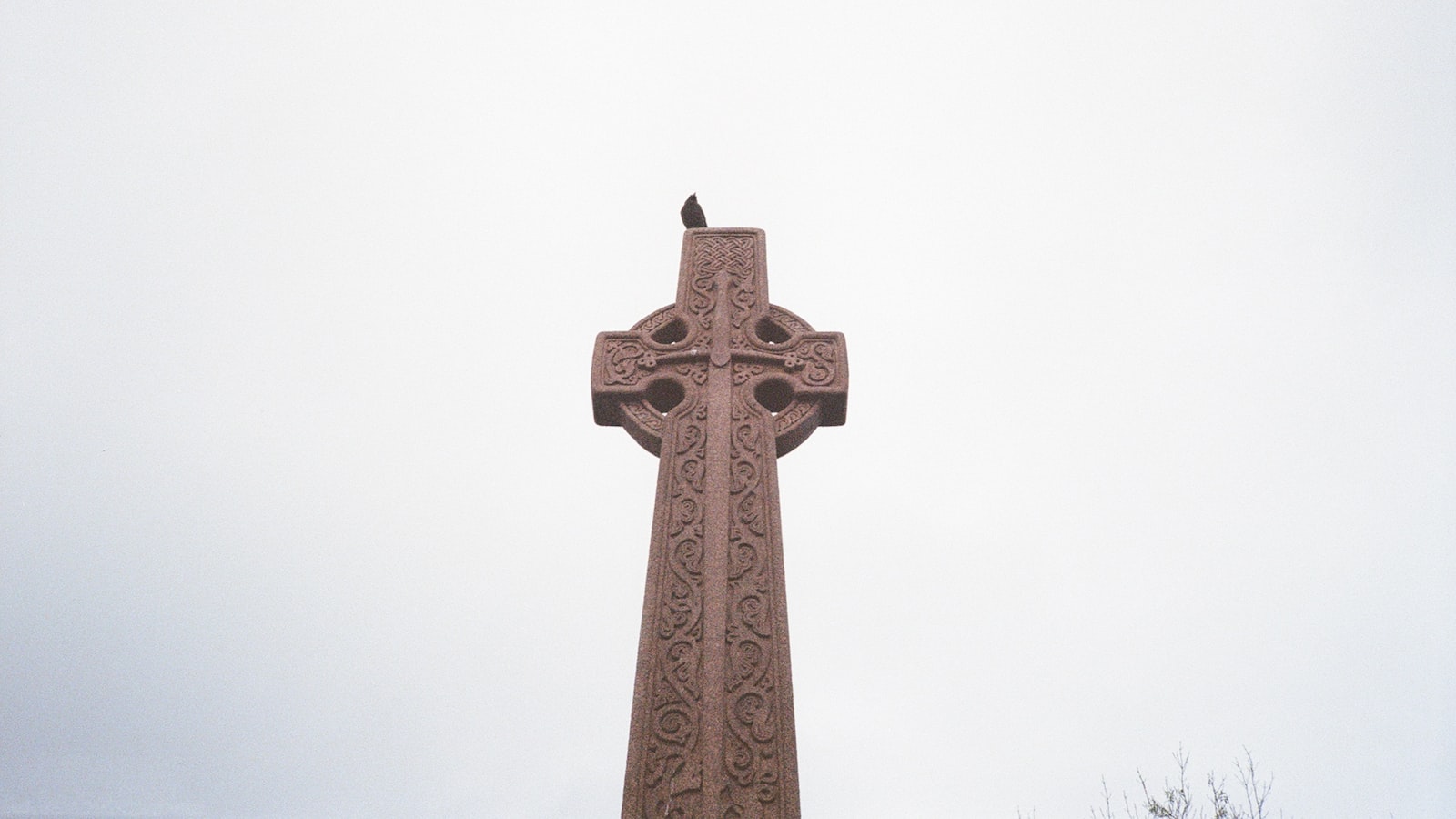 Bitcoin's demise? Time to explore new options? I. Death Knells for Bitcoin