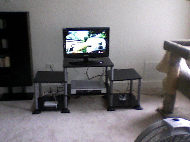 Uncovering Bitcoin Maximalism: Latest Developments & Advantages. High-definition television