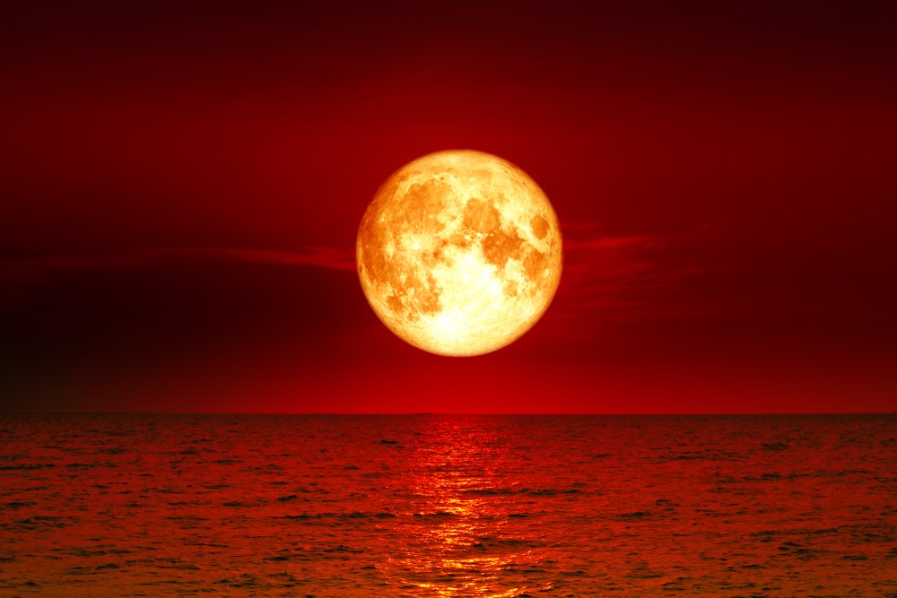 BitcoinSV (BSV) Soars 11% Daily, Bitcoin (BTC) Bounces Off $29K: Market Watch 1. BitcoinSV (BSV) Surges 11%: Market Watch