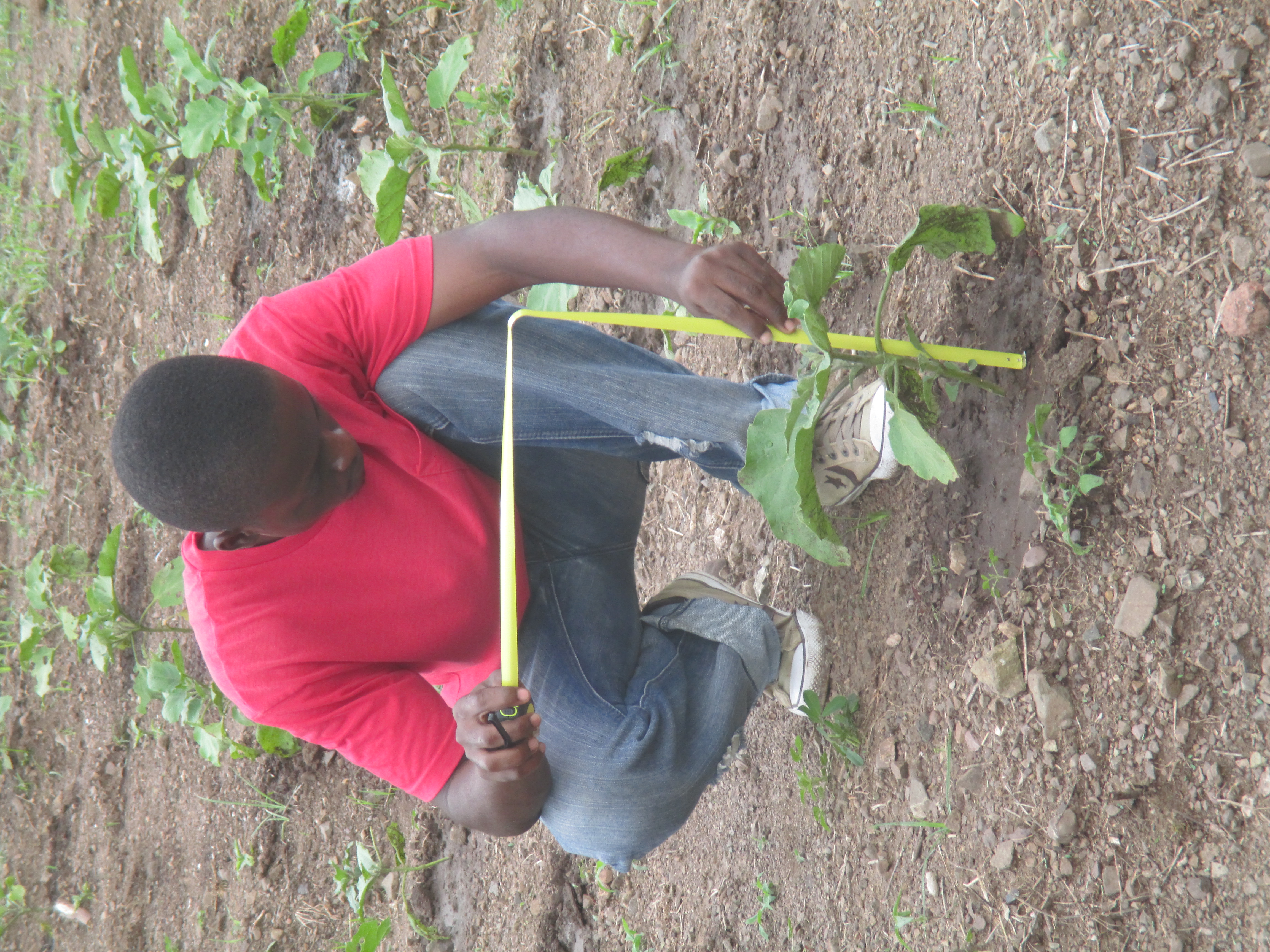 2. Evaluating the Benefits of Converting to POL