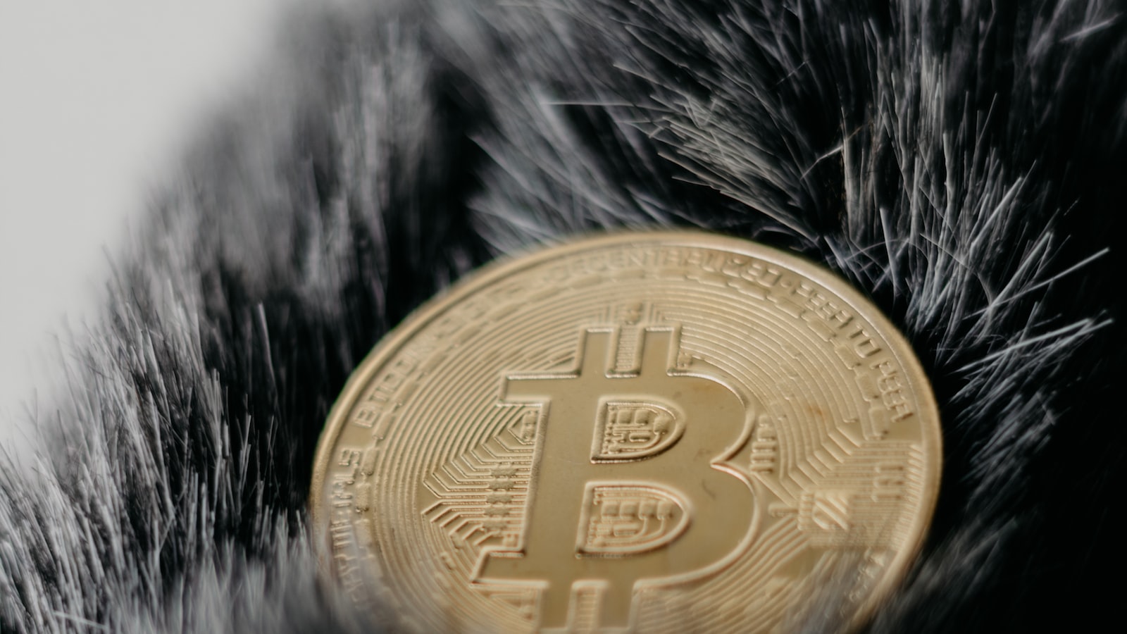 Crypto exchanges are now hoarding as much BTC as they did during the exhilarating days of late 2017. Brace yourself for an electrifying future! Crypto