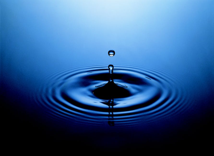 Ripple effect? Stellar (XLM) is catching up to XRP price gains 1. Ripple Gains Compared to Stellar (XLM)
