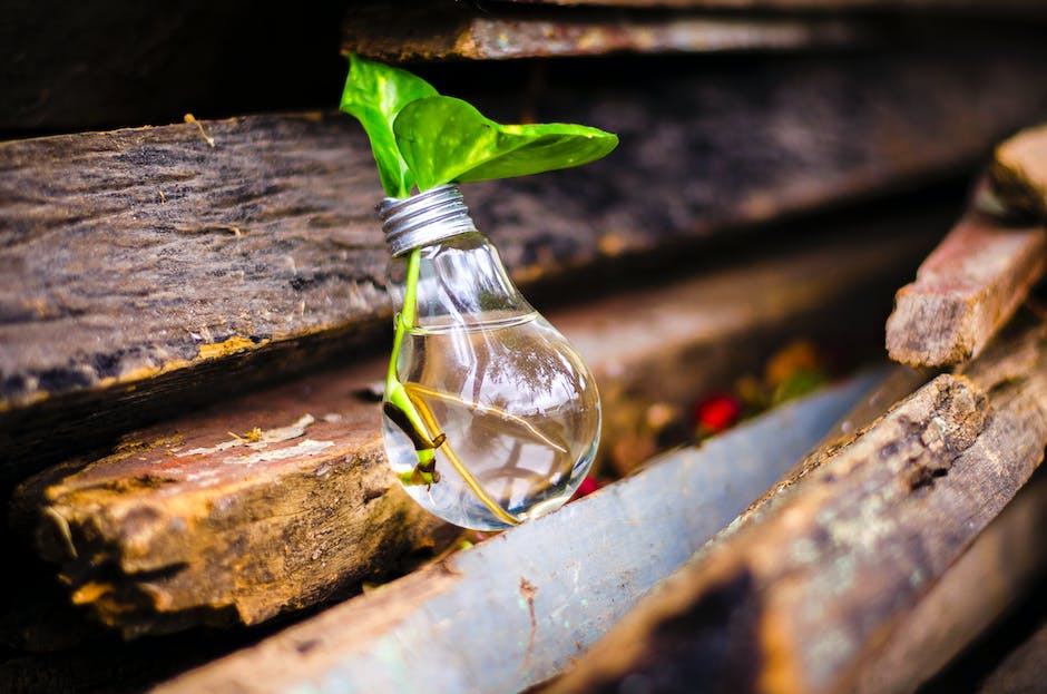 Bitcoin Donation Company Says Gifted Crypto Should Require Less Paperwork I. Innovative Crypto Donations Platform Introduced