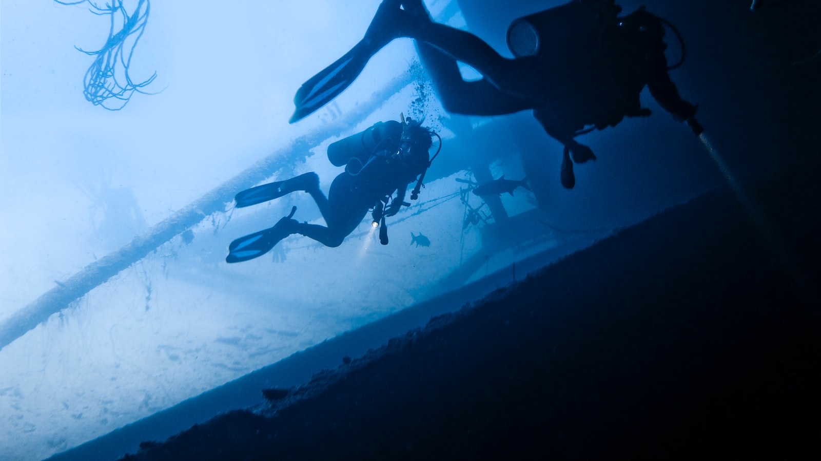 ! 2. Diving Deep Into Five High-Potential Altcoins
