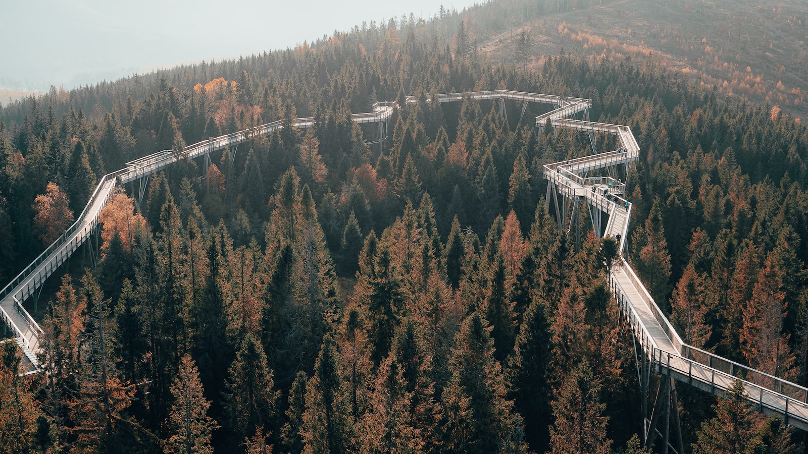 Investors: Fear Not! Crypto Volatility and Risk Can Be Managed. High-definition video