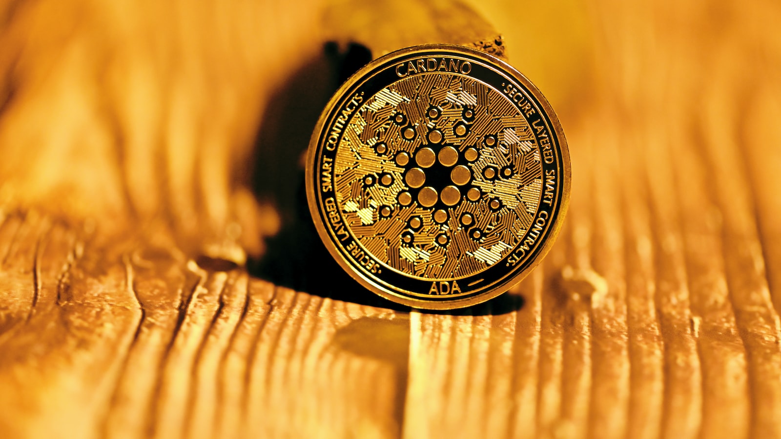 12 Gems Backed by Binance Labs to Watch – Part 1 II. 12 Gems Backed by Binance Labs – Part 1