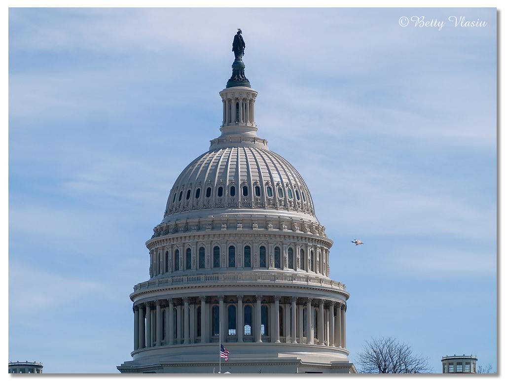 Crypto exchanges face CFTC action for trading law violations I. Overview of US CFTC