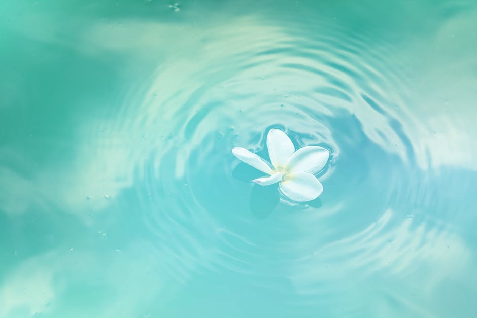 Ripple vs. SEC: Judge sets timeline for evidence and arguments. Ripple Vs SEC: Judge Sets Schedule For Discovery And Briefing, What This Means