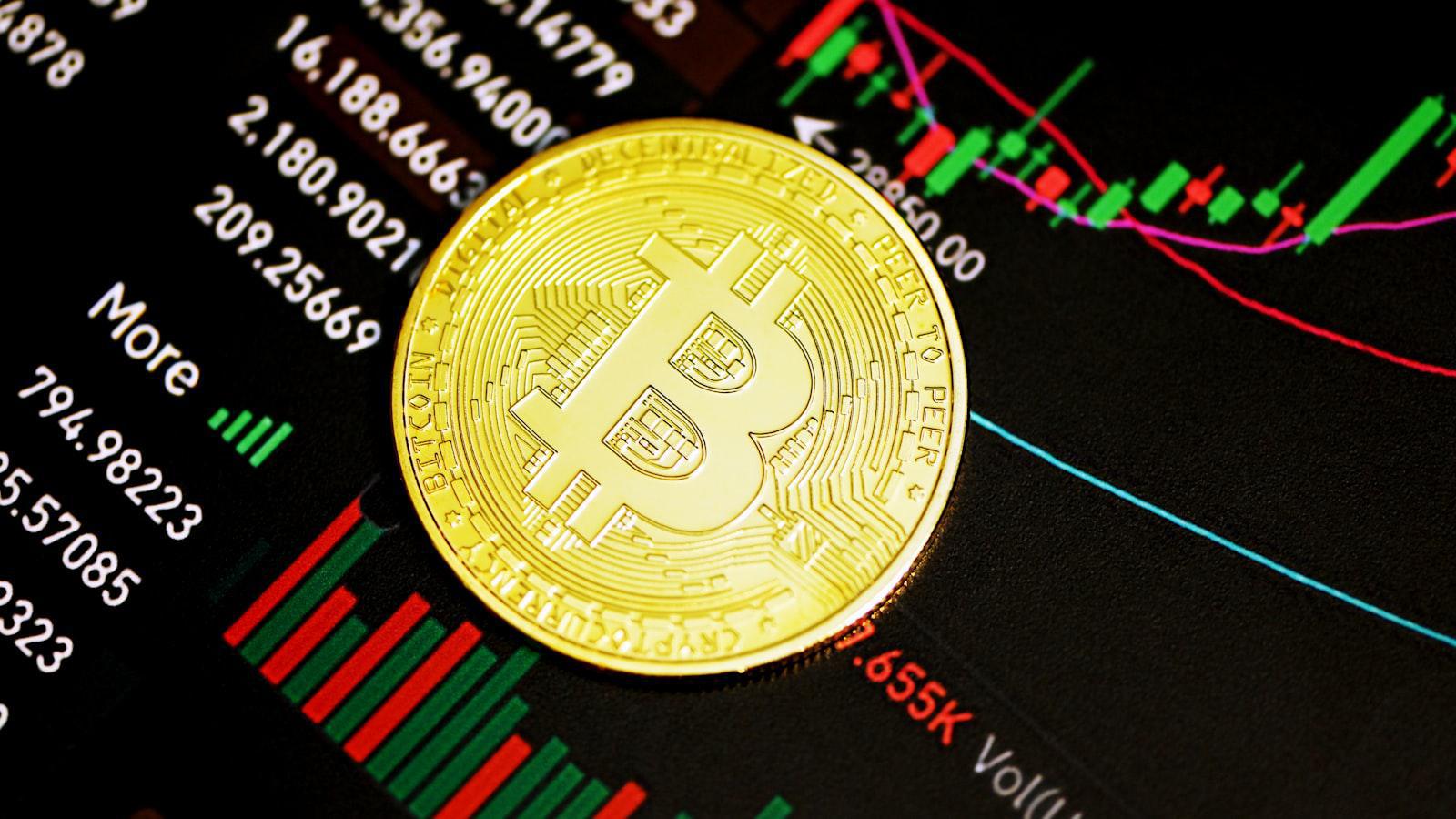 Unveiling Bitcoin's Halving Enigma: A Journey Through Data Bitcoin