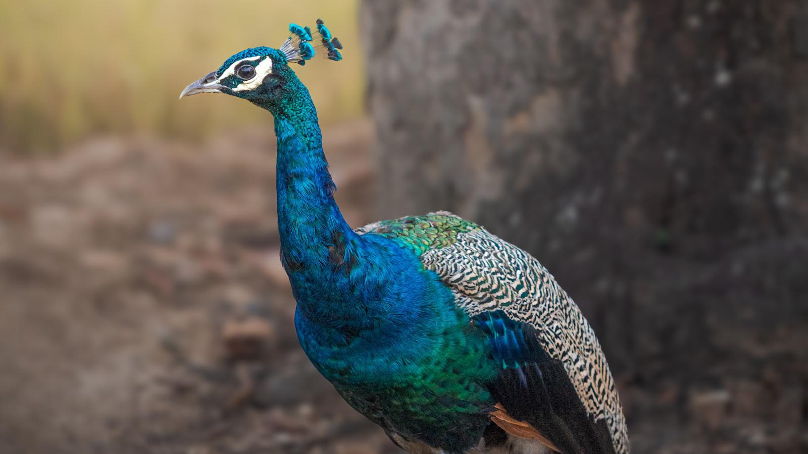 Bitcoin Halving: Unveiling the Science of Supply Reduction highly detailed