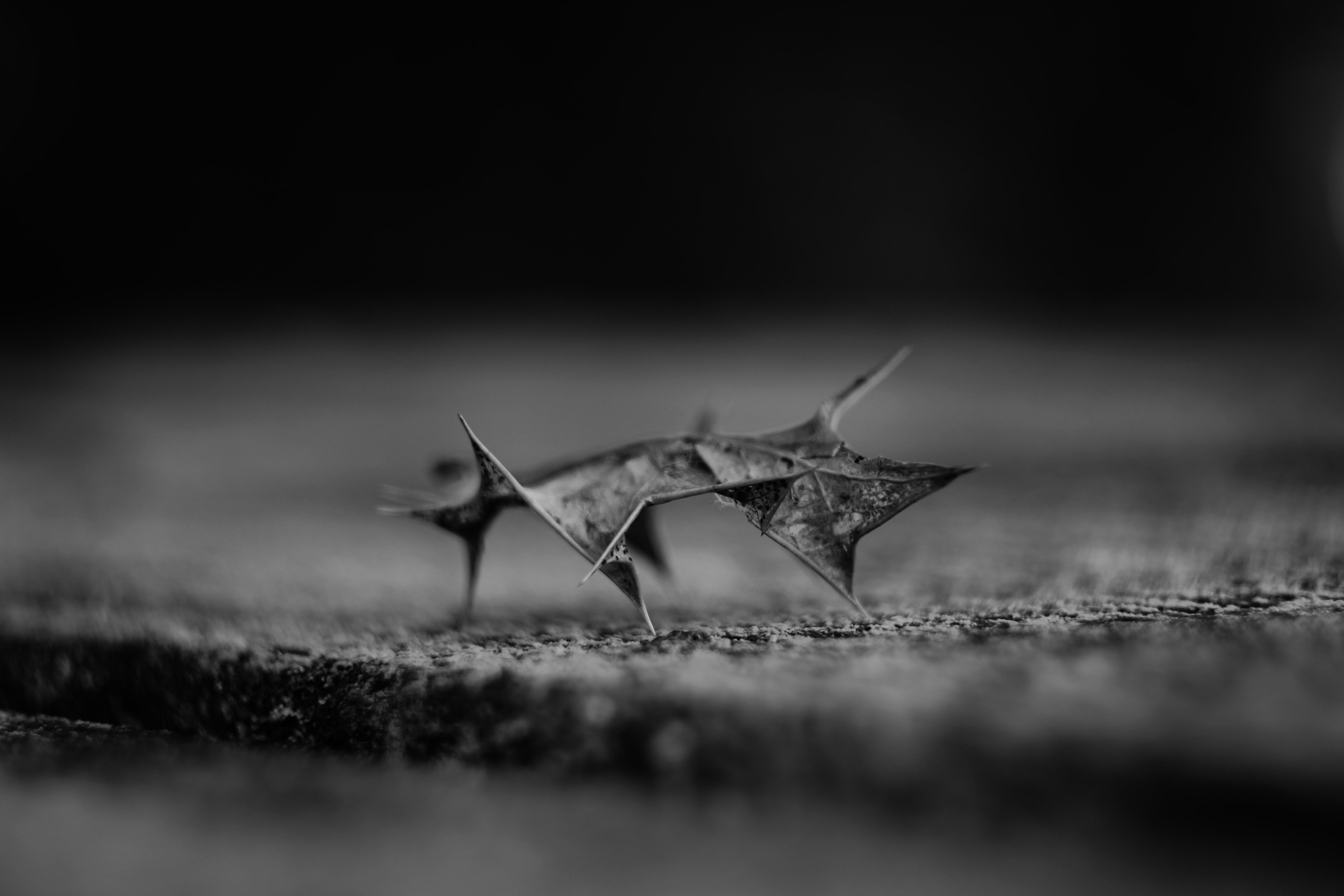 Quantifying the Scarcity of Satoshi: Revisiting the Atomic Unit of Bitcoin - The Diminishing Supply of Satoshis: Analyzing the Finiteness Constraint