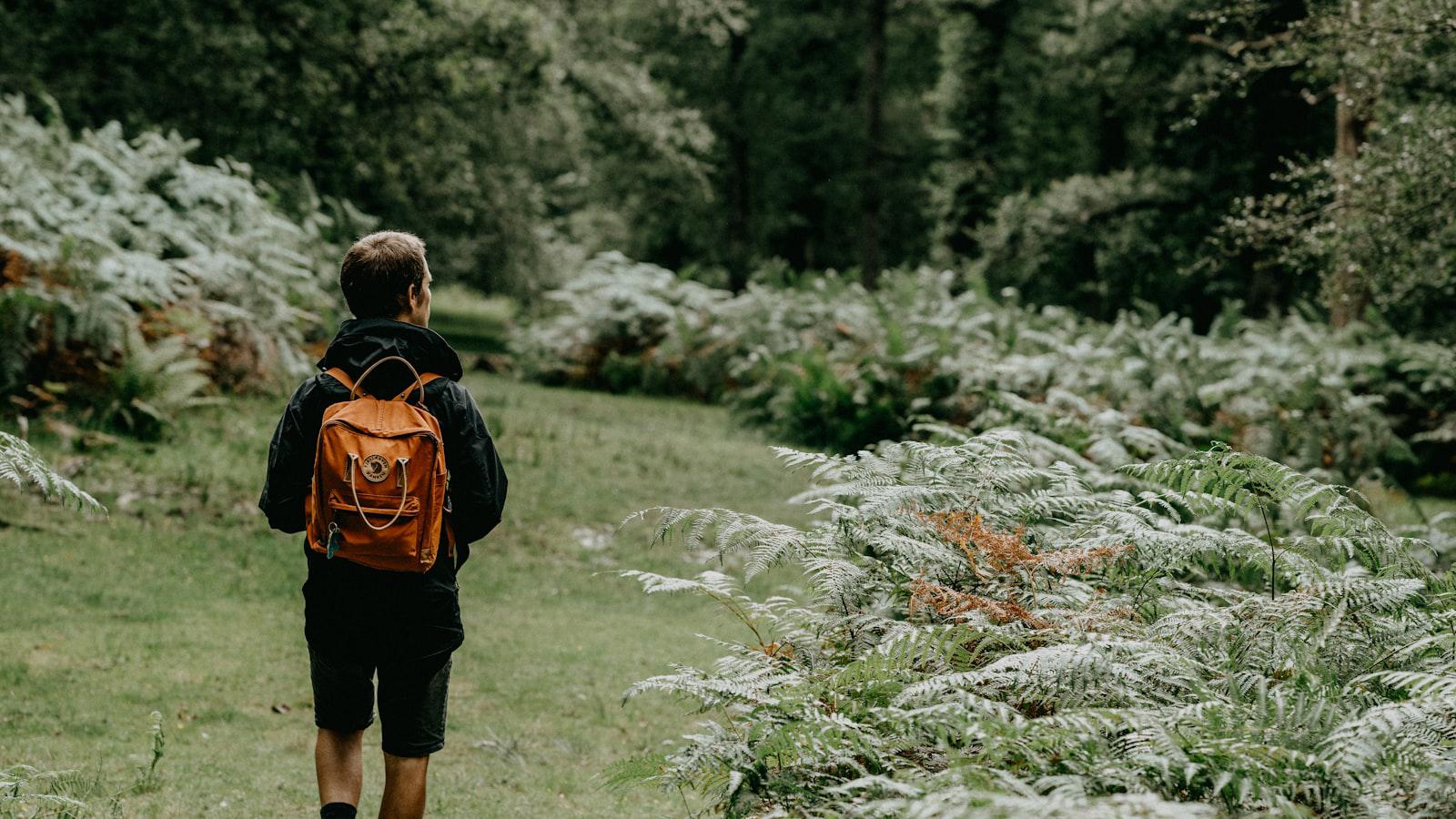 I'm 60 With $1.2 Million in an IRA. Should I Convert $120,000 Per Year to a Roth to Avoid RMDs? - Navigating IRA Conversions at Age 60