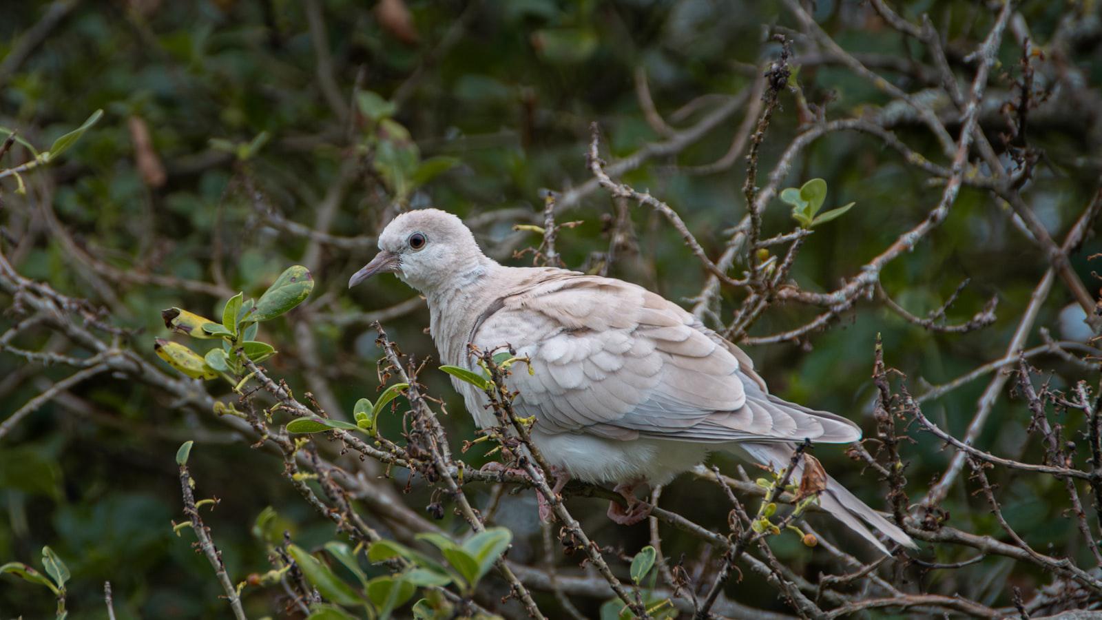Robert Kiyosaki: Bitcoin is the future of money. It's decentralized, secure, and has the potential for massive growth. Gold, on the other hand, is limited and subject to inflation highly detailed