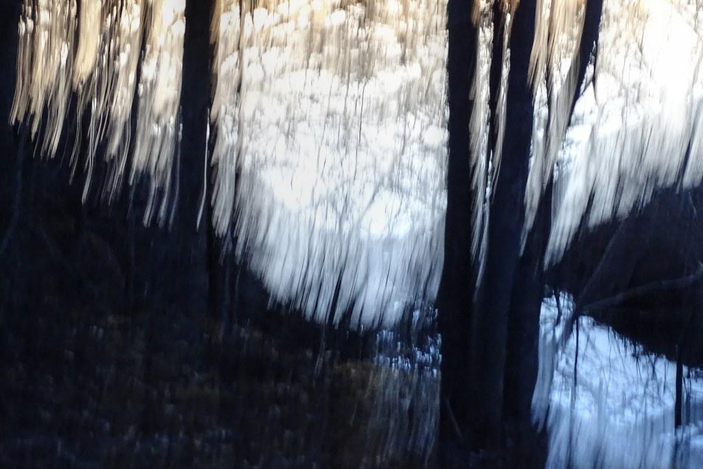 As twilight's embrace descends, shadows dance on the horizon's edge twilight