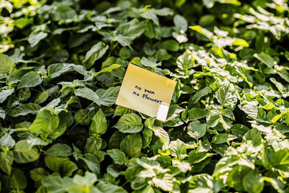 Secure your Bitcoin: memorize seed phrase, use hardware wallet, avoid exchanges, and protect your privacy memorize seed phrase