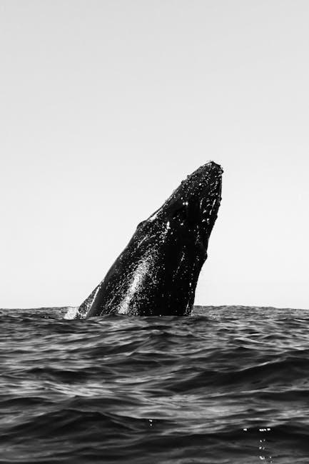 Whale alert! $17k transaction fee blunder Whale alert