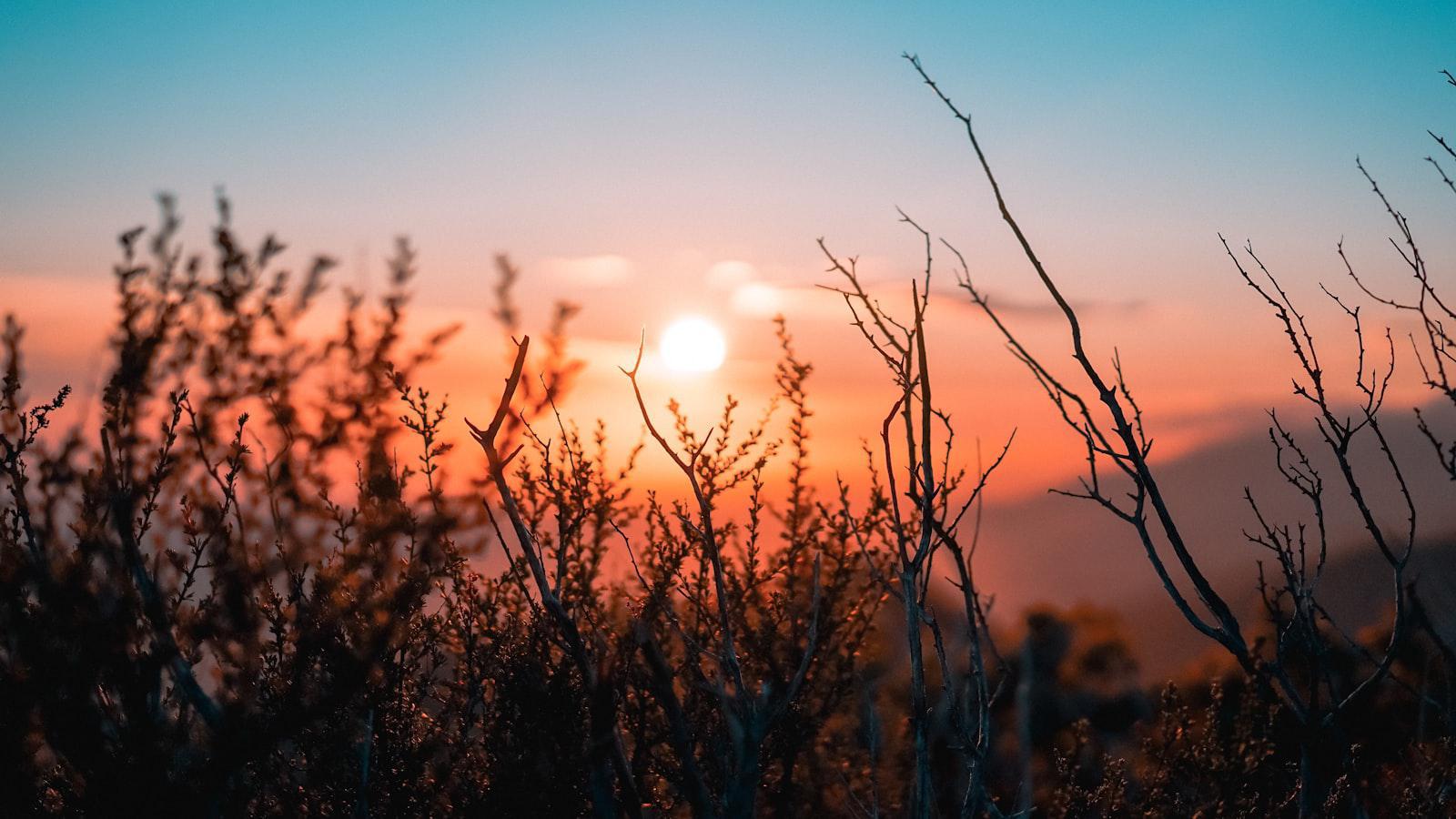 Sunrise to sunset, life's endless beat sunrise