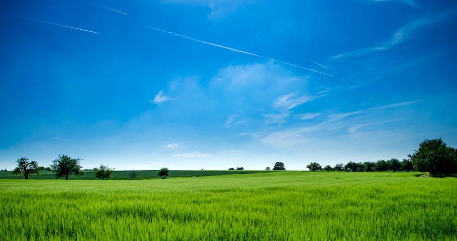 Bitcoin Market Outlook: Analysis and Insight - Assessing the Market Landscape and Key Trends