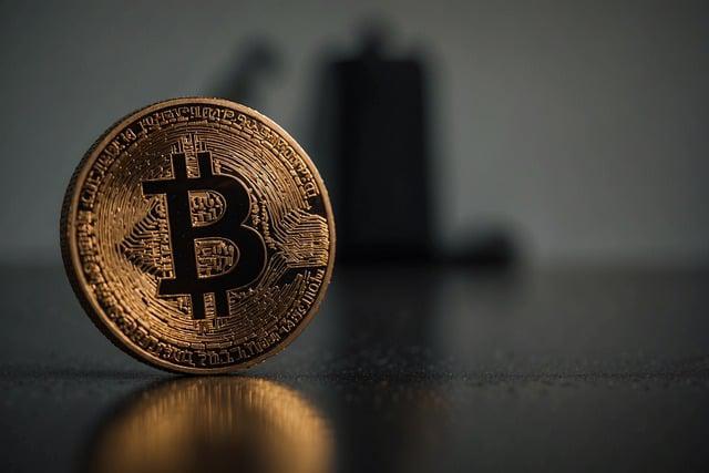 Unveiling the Bitcoin Market: A Deep Dive for Investment Strategies - Deciphering the Dynamics of Bitcoin's Growth and Volatility