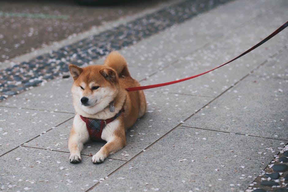 Shiba Inu (SHIB) surges amid market recovery and community hype Shiba Inu