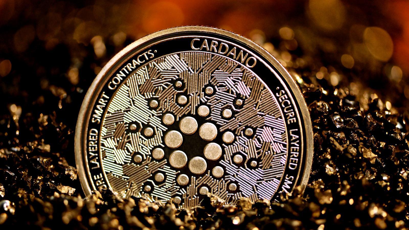 Unveiling Bitcoin's secrets, empowering investors to navigate the crypto storm Bitcoin