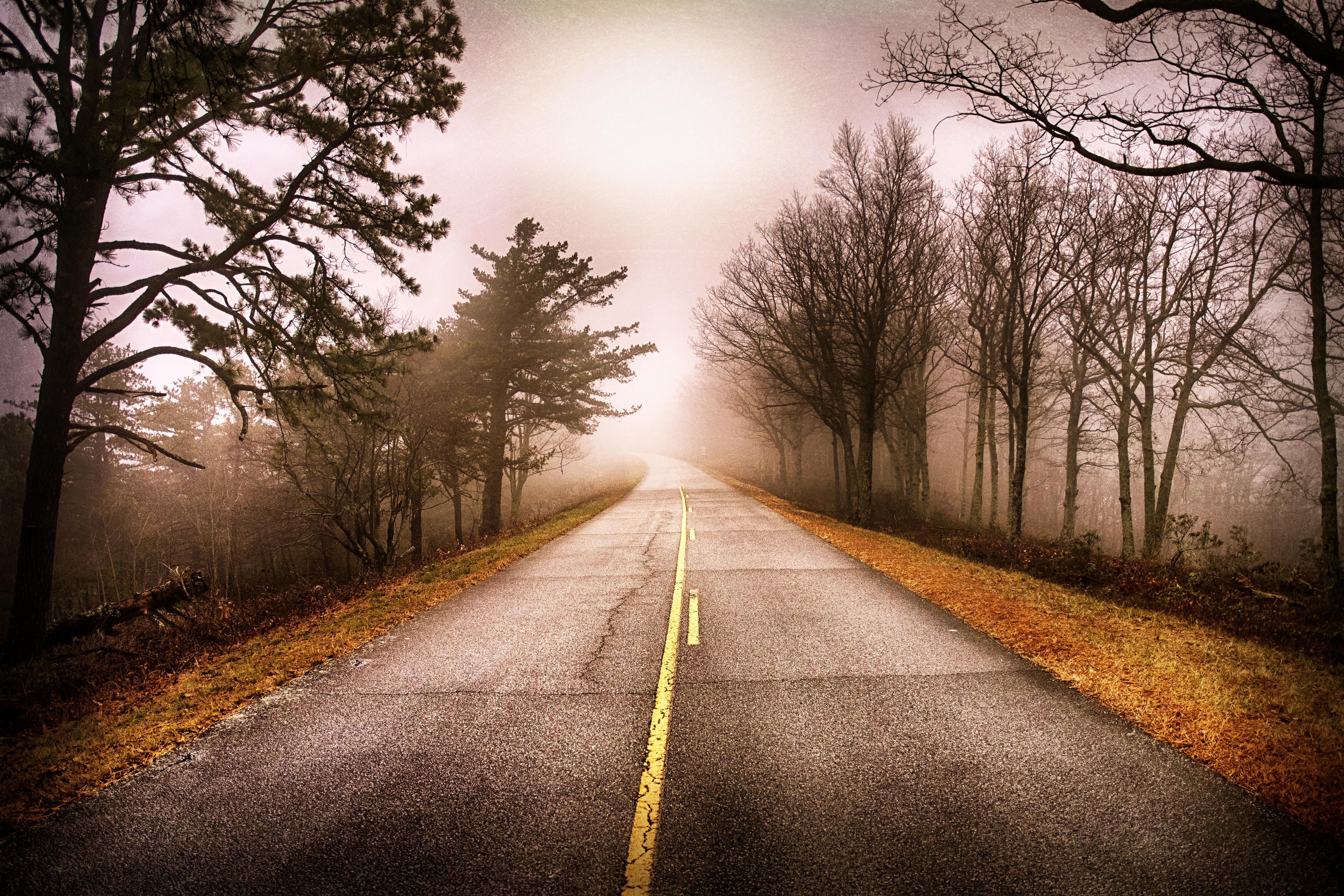 Study Bitcoin Heading 1: Unveiling the Enigmatic Image: A Visual Odyssey