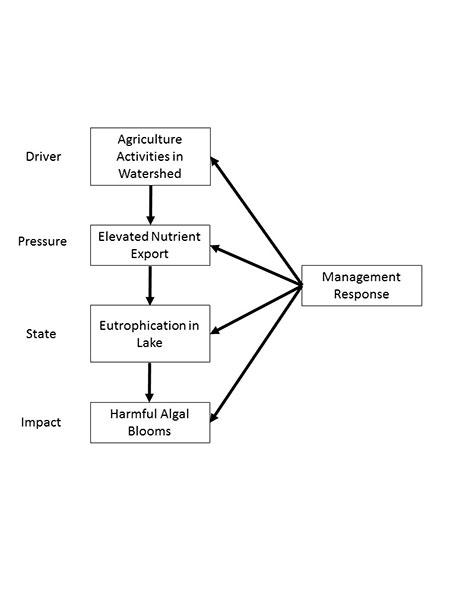 Exploring the Paradox: The Case of $1 < $1 in Economics Understanding the Conceptual Framework of Value in Economic Theory