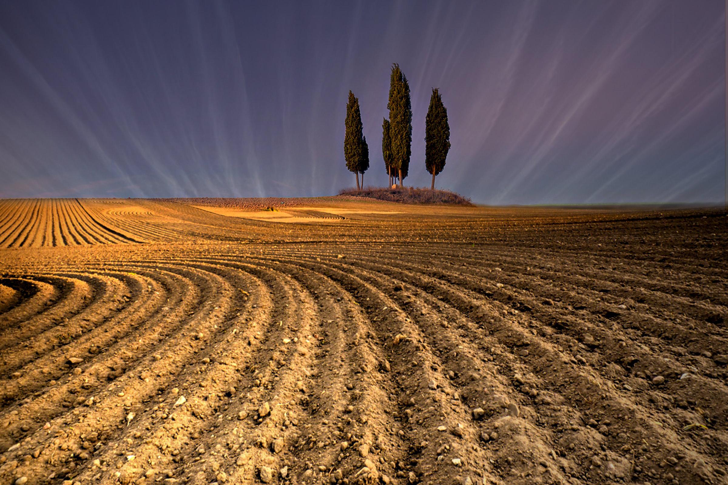 nostr is the future and the future is now — This is a comment ... The Evolution of Nostr: A Glimpse into the Future