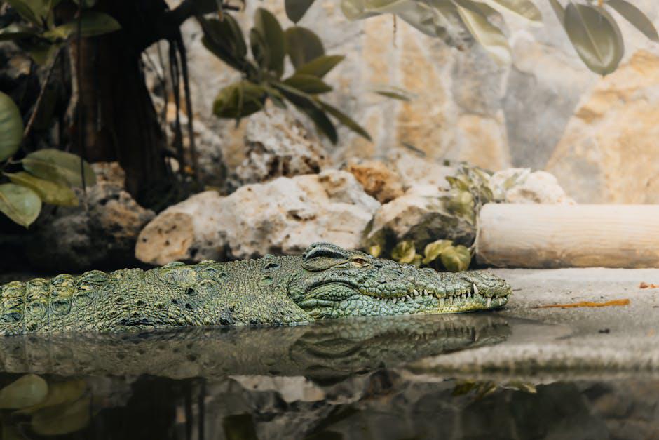 Privacy as a Fundamental Human Right 1. The Evolution of Privacy Rights in the Digital Age