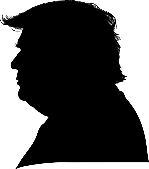Trump Leads Harris on Polymarket After Musk Endorsement, but Trails in This Key State Heading 1: Trumps Lead Over Harris Expands on Polymarket Following Musk Endorsement