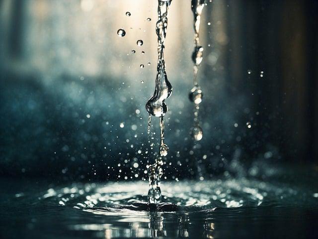 What Are Liquid Voucher Tokens and Coupons? What Are Liquid Voucher Tokens and Coupons?