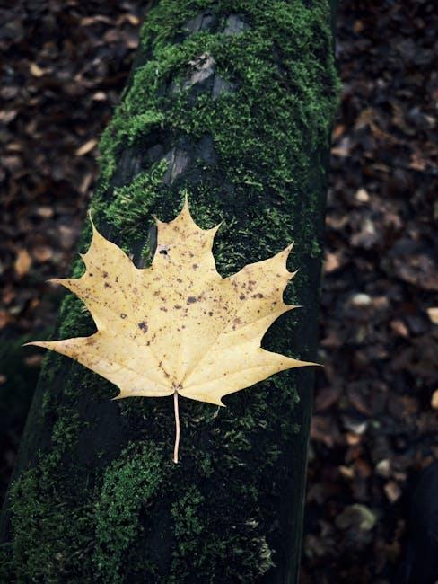 Gavin Wood Signals Next Steps for Polkadot’s Revolutionary JAM Protocol at sub0 Reset - Gavin Woods Vision for Polkadots JAM Protocol Evolution