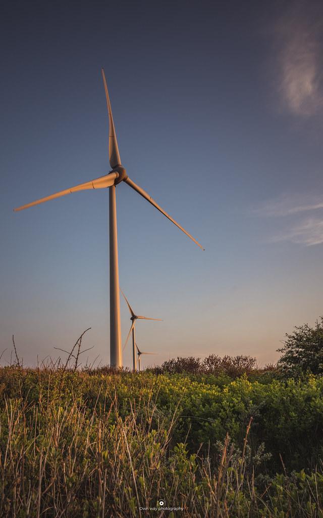 #255: Green energy tradeoffs, real environmentalism, Bitcoin as a commodity, & Saudi Inc. with Dr. Ellen Wald Green Energy Tradeoffs and the Path to Sustainable Solutions