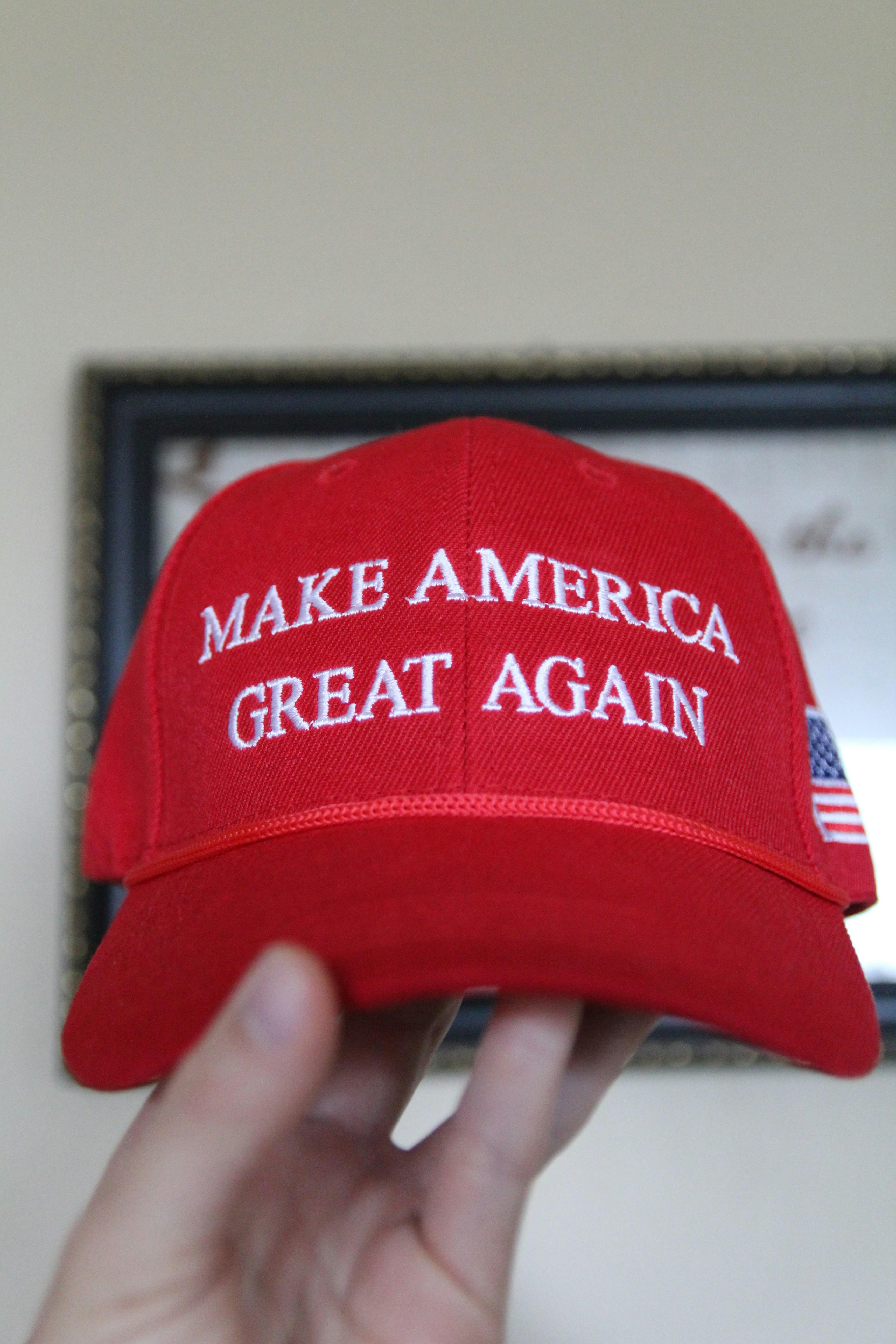 Republicans Win House Majority, Completing Trifecta in 2024 Election That Saw Donald Trump Win Second Term Republicans Secure House Majority, Marking a Major Shift in Congressional Power Dynamics