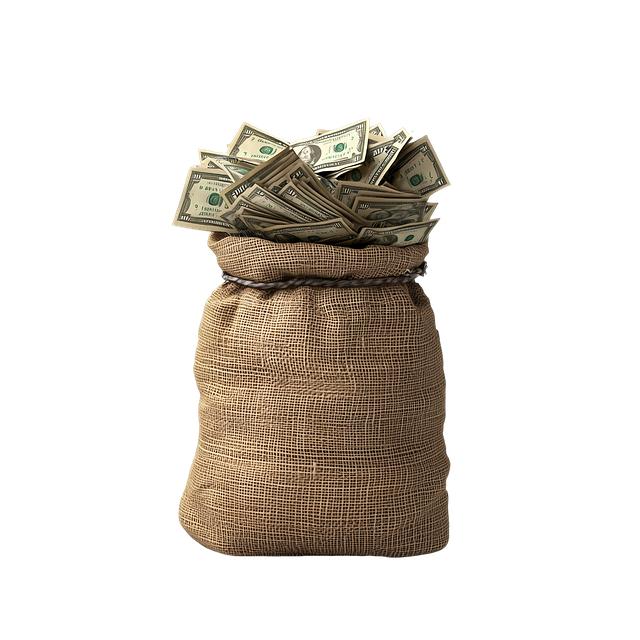 Should You Buy This Top Cathie Wood Stock While It's Below $100? The Case for Investment: Why This Stock is Attracting Attention Below $100