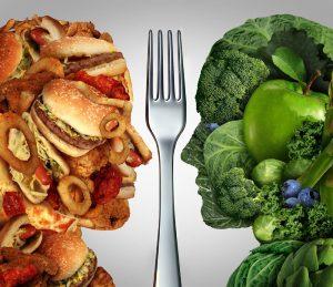 Can You Drink Propel Water on the Carnivore Diet? Assessing the Ingredients in Propel Water for Diet Compatibility