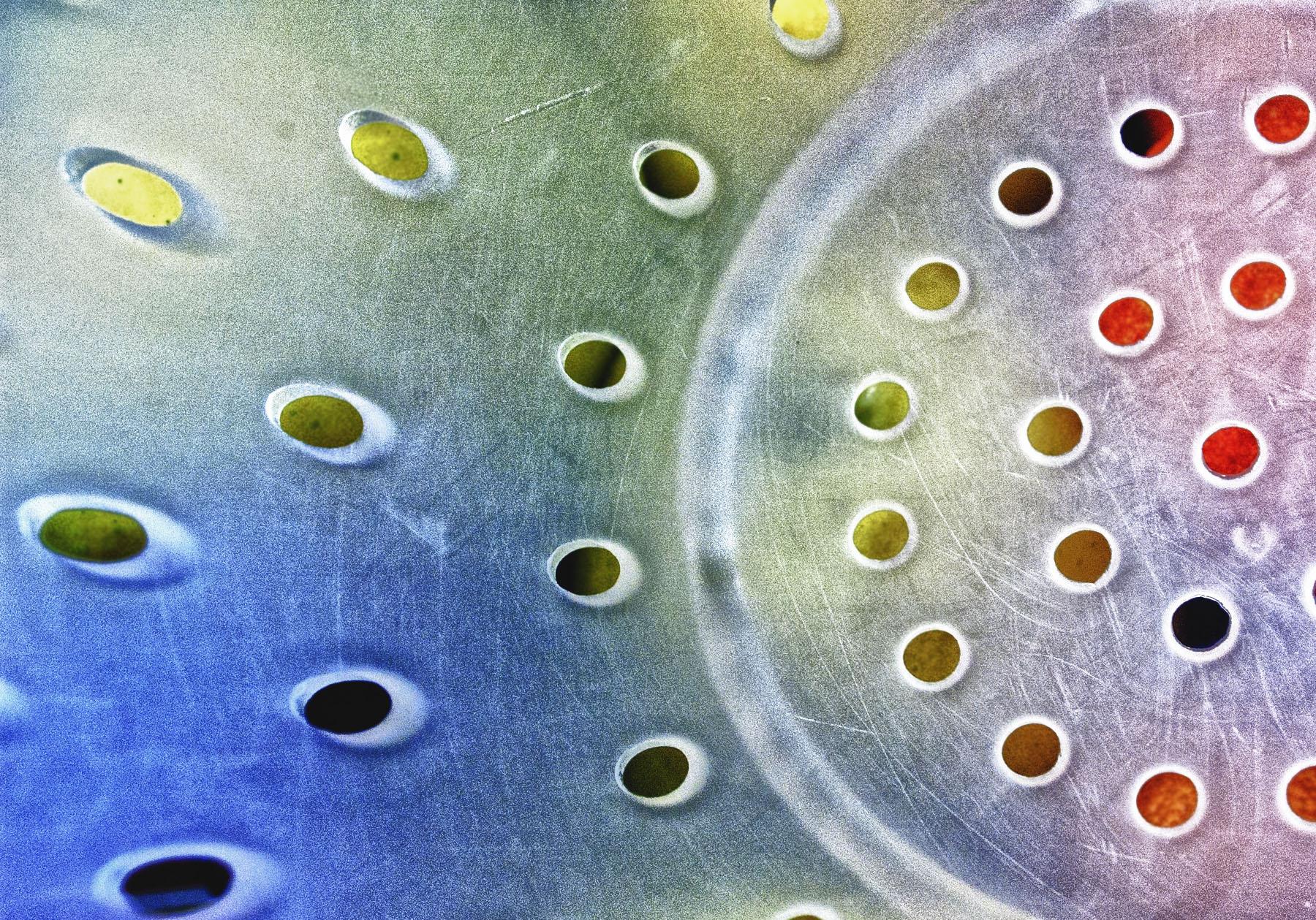 5 Time Management Challenges for Executives — and How to Solve Them Implementing Effective Strategies to Maximize Productivity