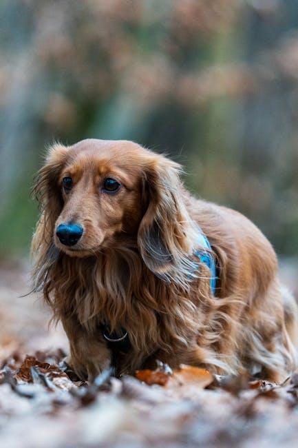 How to Style a Bomber Jacket According to Personal Stylists Seasonal Layering Techniques to Elevate Your Style