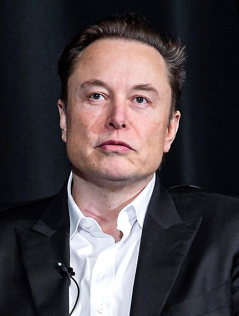 Elon Musk opens up about his experience with 'Trump Derangement Syndrome' during 'Hannity' exclusive Elon musk's Perspective on Trump Derangement Syndrome